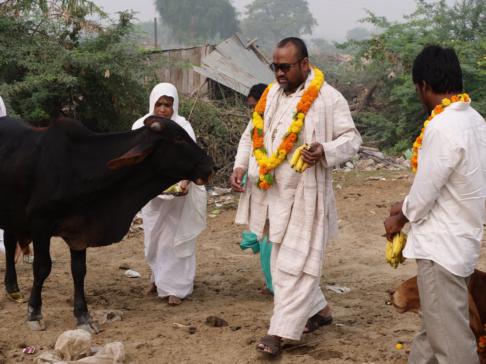  153 Gopashtami Radha kunda Govardhan 19.11.04